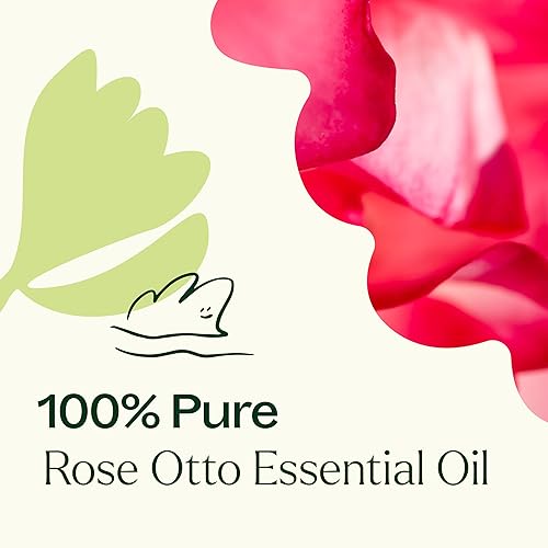 Miniatura 5 de Plant Therapy Aceite esencial Rose Otto 5 mL (16 oz) 100% puro, sin diluir, grado terapéutico