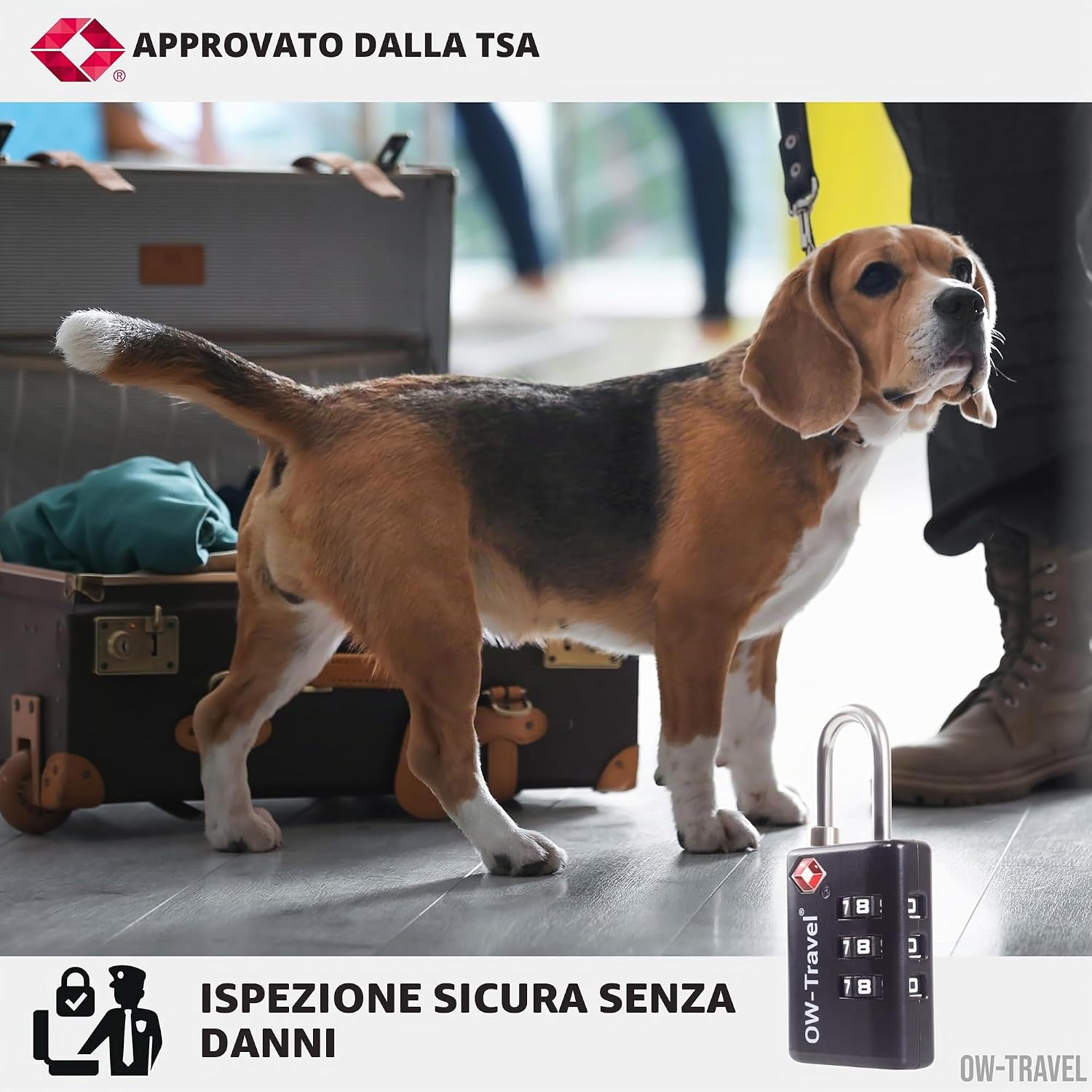 OW-Travel Lucchetto TSA, Lucchetto Valigia 3 Cifre con Indic... 8 71s0PO3vGlL. AC SL1500