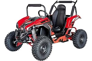 UTV Ride on Electric Go Kart with 48V