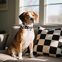 Vista 226 de DOGWONG Collar de perro de San Valentín, collar de perro con estampado de corazones para perros grandes, lindos collares de primavera, hembra