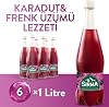 أسود التوت والكشمش بنكهة المياه المعدنية الطبيعية مع سيرما فيتامين B 6 x1 L