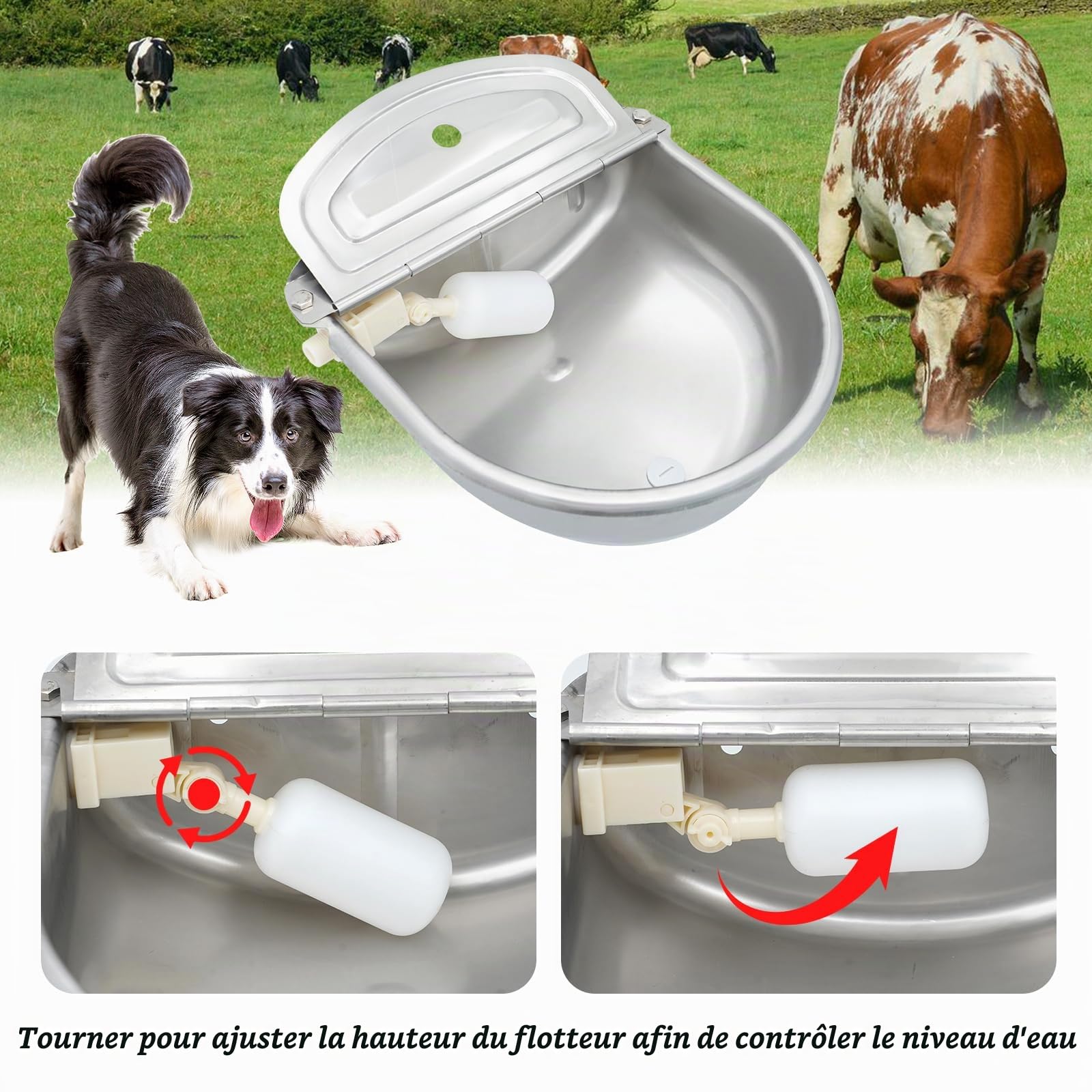 9 in 1 Gamelle d'eau Automatique avec Valve Flottante, Distributeur d'eau pour Chien, Abreuvoir avec Tuyau pour Bétail, Poules, Chevaux, Bovins, Porcs, Chèvres, Vaches