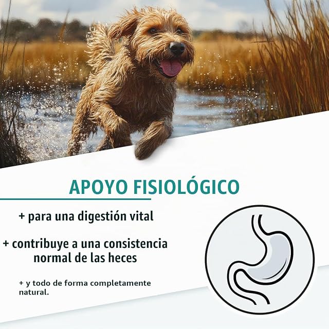 Foto 2 de 7 de AniGo Moor curativo para perros 500 g