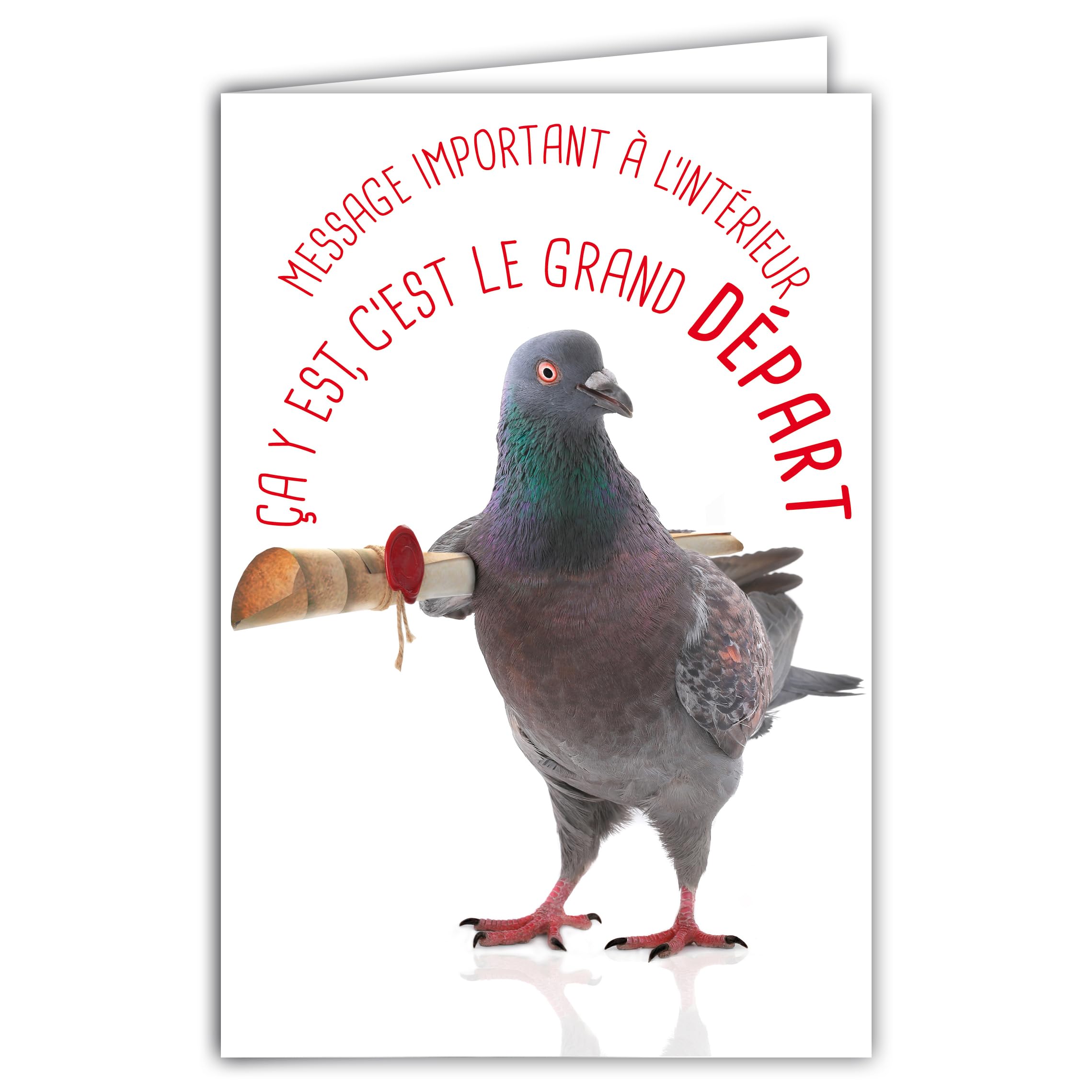 69-6224 Card Departure to New Adventures Humorous Message with Illustrated Envelope 17.5 x 12 cm Pigeon Funny for Moving or Retirement Design Made in France