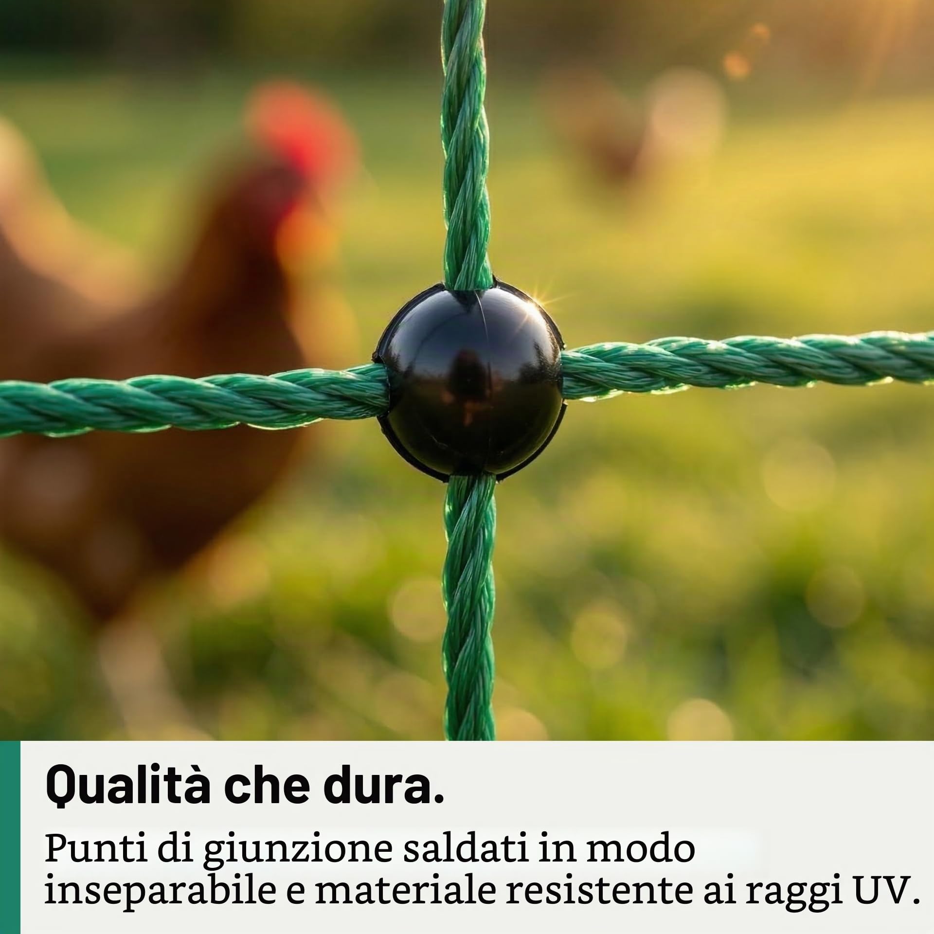 Agrarzone Rete per pollame Classic elettrificabile, Doppia Punta, Verde 50 m x 112 cm - Robusta per polli, Cani e Gatti - Facile da installare con 15 Pali e Kit di Riparazione