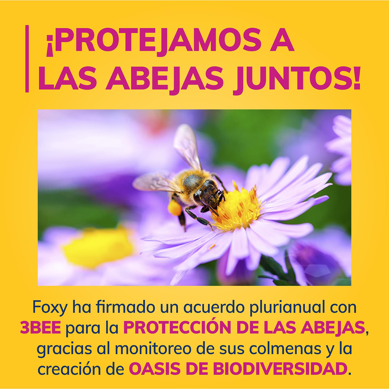 Foxy Love the Bee | 3 capas |Papel higiénico 48 rollos | 167 servicios por cada rollo | Certificación FSC | 100% Energía eléctrica renovable | Paquete reciclable producido con plástico reciclado