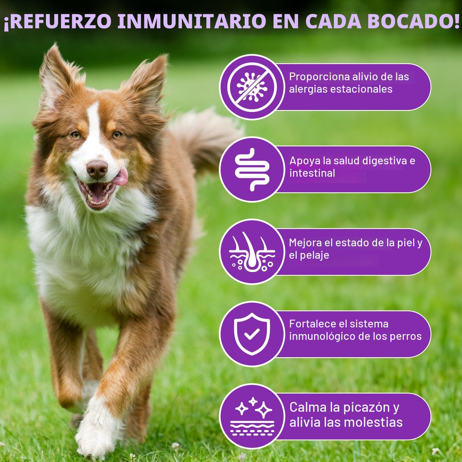 Alivio de la Alergia del Perro, Dog Allergy Relief Treats, Snacks Antialérgicos para Perros, Alivia la Picazón, el lamido, el Rascado y la Depilación, Refuerza la Inmunidad, Alergia e Inmunidad Perros