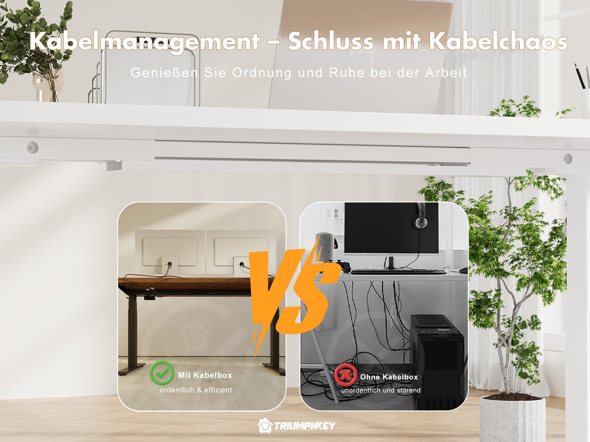 TRIUMPHKEY 180×80cm Höhenverstellbarer Schreibtisch mit 40mm/s Dualmotor und 25mm Durchgehende Tischplatte, Ergonomischer Bürotisch mit Smart Reminder für Tagessteh-Ziele, inkl.USB-C, 125kg Tragkraft