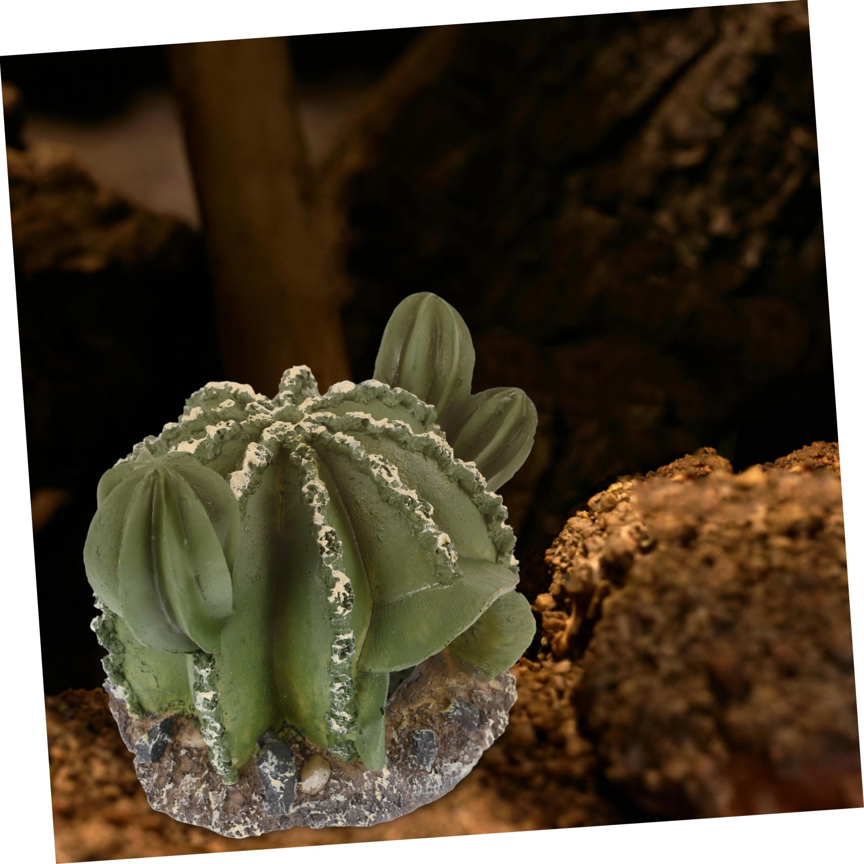 VANZACK 4piezas Cueva De Reptiles De Forma De Cactus Refugio Decorativo para y Terrarios Natural para y De Ocultación para Reptilianas