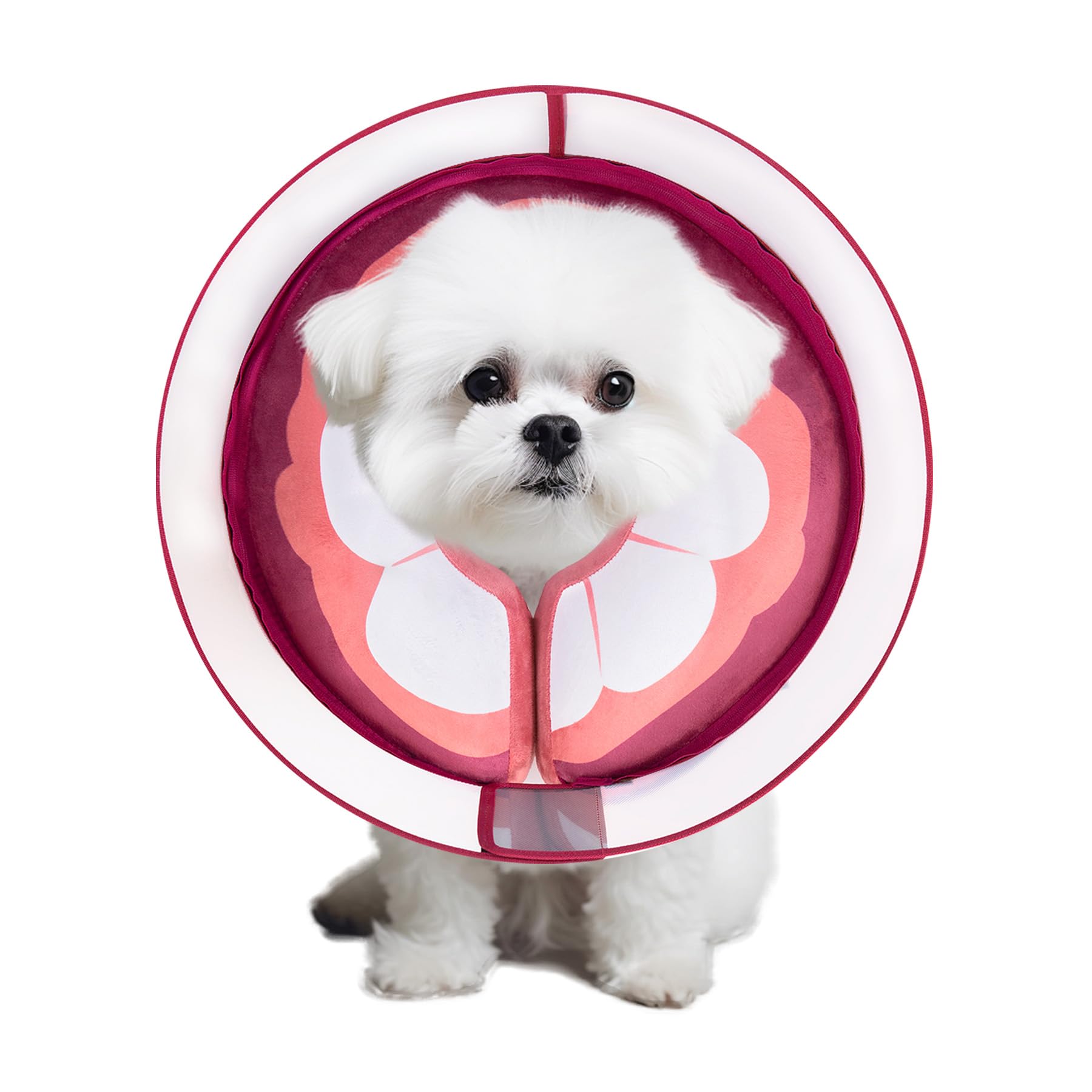 Inflatable Dog Cone Collar for Large Medium Small Dogs, Soft Dog Donut Collar Adjustable Recovery Cone for Pets After Surgery, Extra Enhanced Anti-Licking Guard Shield (Mangosteen, Medium) — image 1