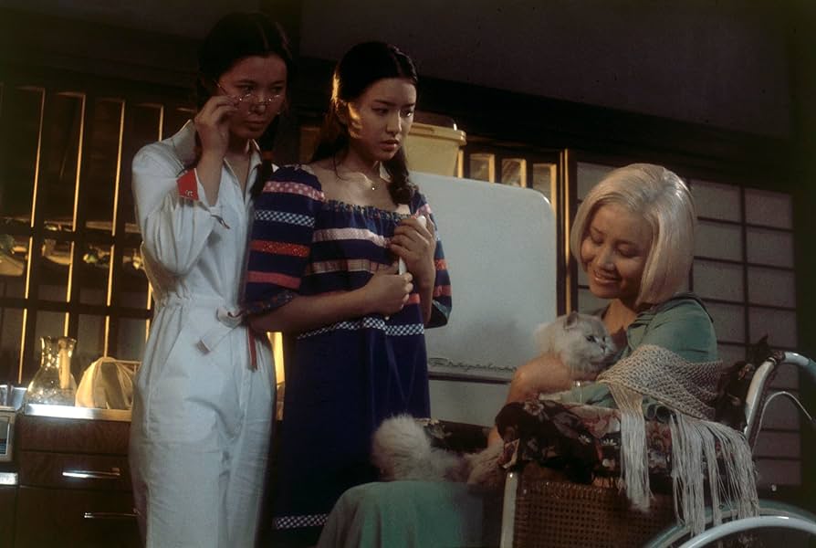 Amazon.com: HOUSE - VERSION RESTAUREE - DVD : Nobuhiko