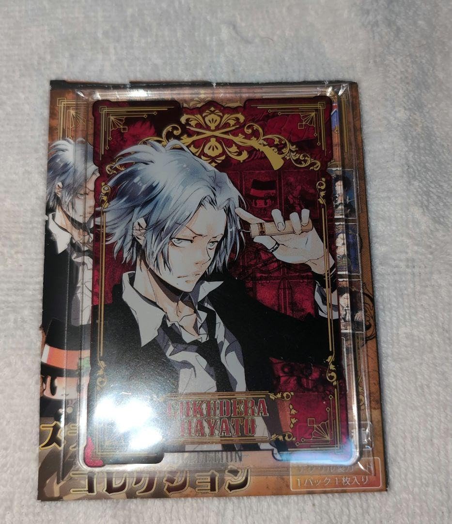 家庭教師ヒットマンREBORN! ステータスカード 獄寺隼人　13点 リボーン ステータスカード 獄寺隼人 家庭教師 ヒットマン