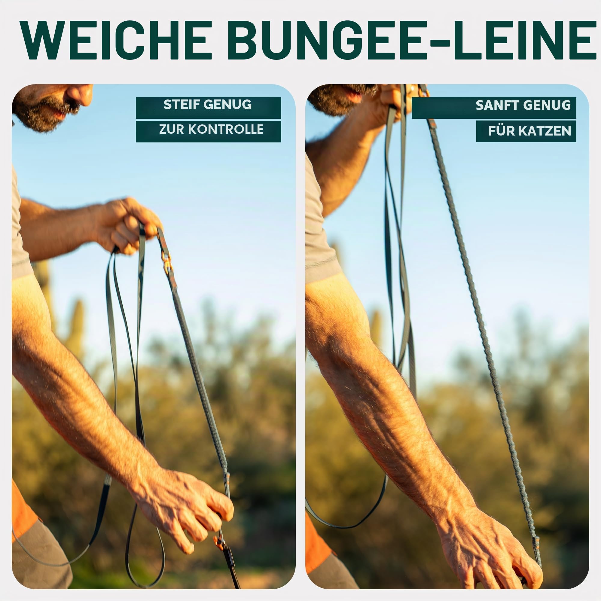 OutdoorBengal Kushma - Lange Leine für Katzen und kleine Hunde mit Bungee - Silikon + Nylon - kein Verheddern, freihändig für Taille und Körper, leicht - Extra Lange Katzenleine für kleine Hunde