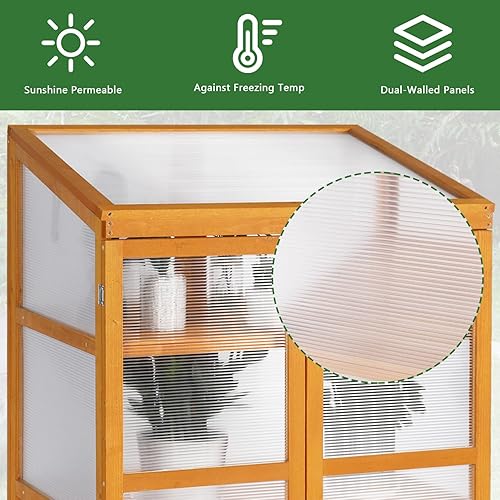 Miniatura 2 de LTMEUTY Invernadero de madera  Invernadero de marco frío para exteriores, casa verde portátil con techo ajustable y 2 estantes, maceta de flores con