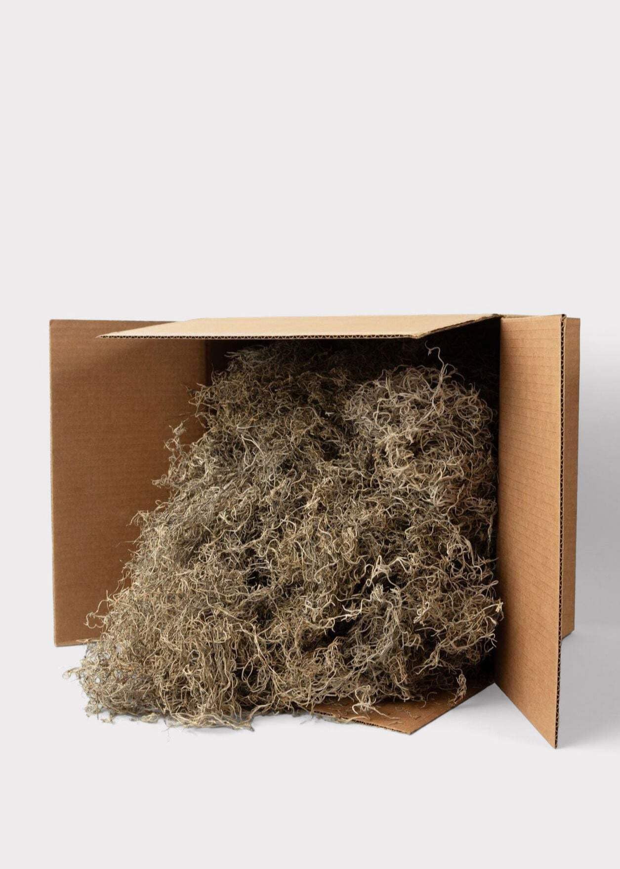 Photo 1 of ***PLASTIC*** Afloral | Artificial Flower Arrangements | Natural Dried Spanish Moss | Faux Plants for Vase | Tall Branches Home Decor | Real Looking Flower | Long Stem Greenery