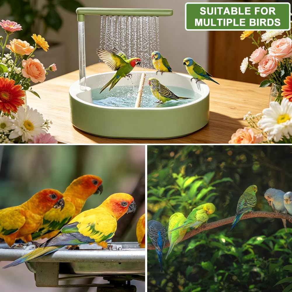 Douche à Oiseaux, Baignoire Automatique pour Oiseaux avec Douche d'eau Circulante Douche, Automatique Perroquet Douche pour Oiseaux, Perruche, Cacatoès（Vert）