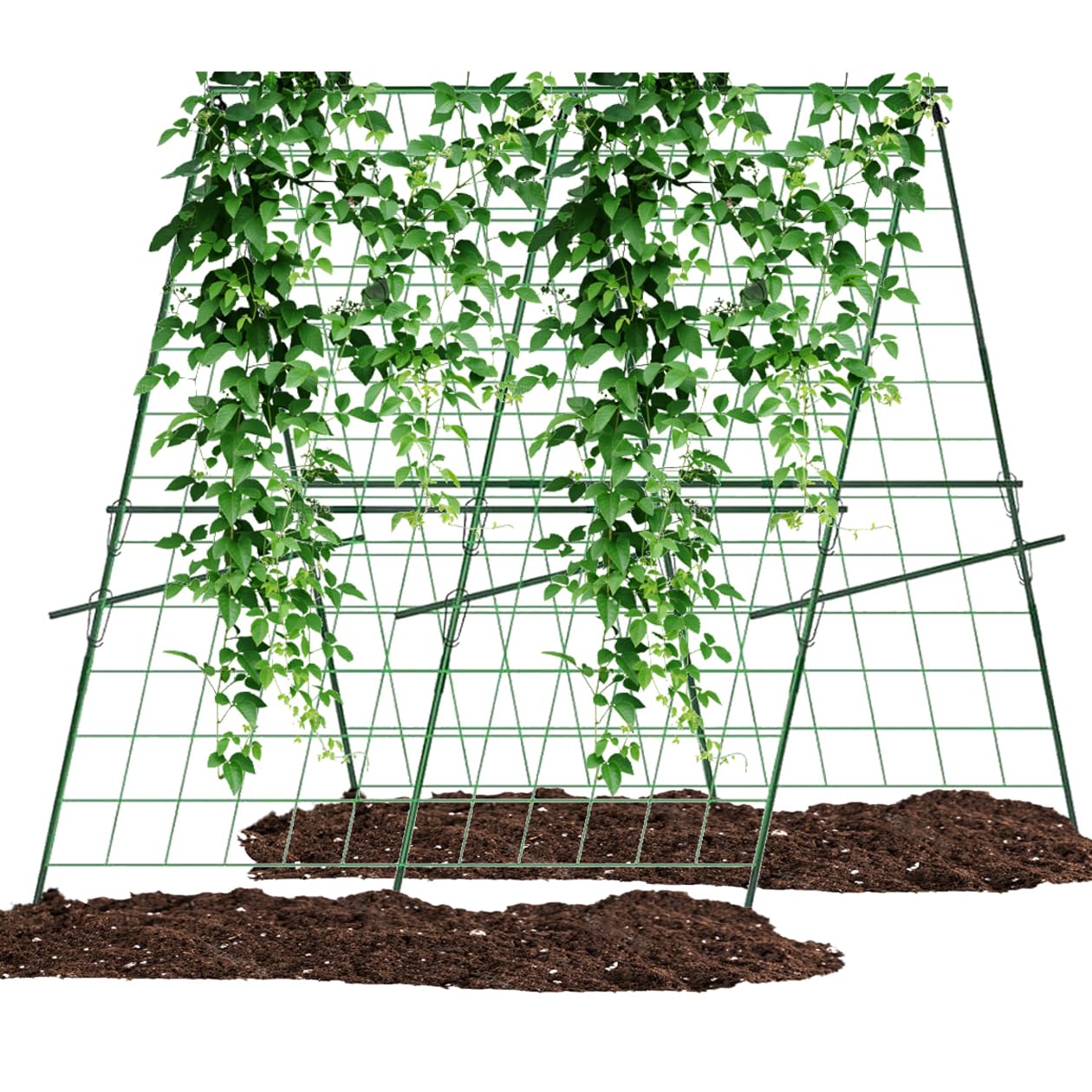 Tomatenkäfige, Garten Obelisk Rankgitter, Garten Spalier
