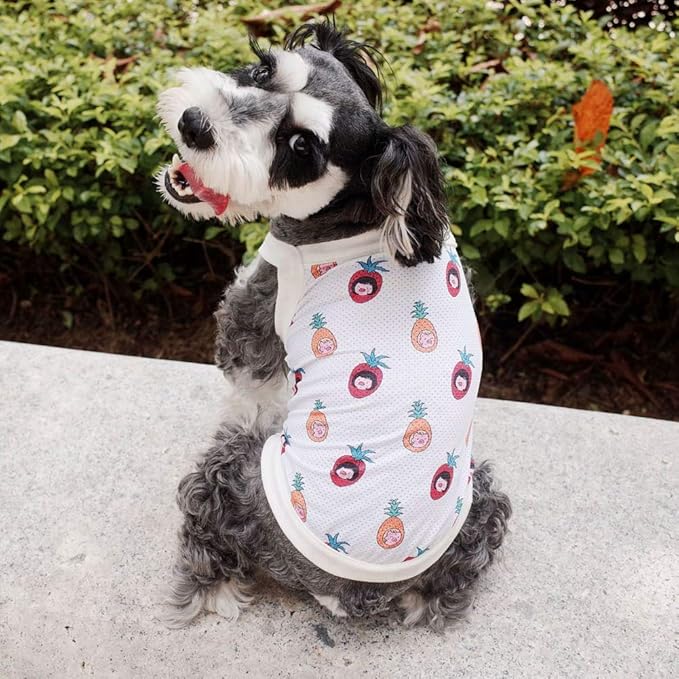Bennyue 冷却ベスト パイナップル柄 冷感 犬服クール 涼しい 春夏 吸水速乾 暑さ対策グッズ 小中型犬 接触冷感イラスト L Ouudhvksev ペット用品 生き物 Sprintmart Com