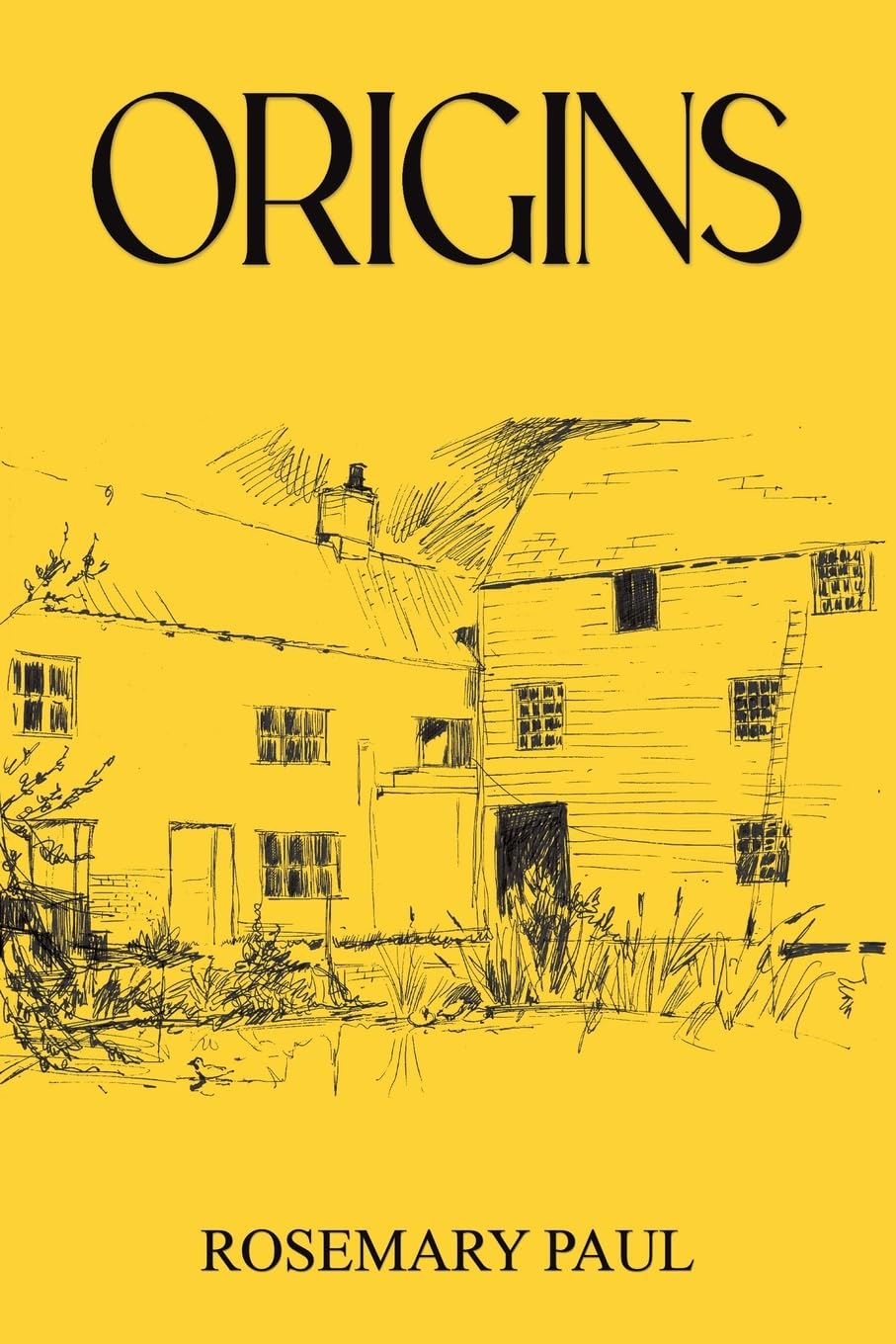 Origins by Rosemary Paul - 9781035893263