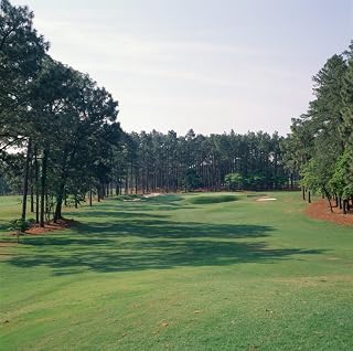 Posterazzi 17th hole at golf course Resort Pinehurst Moore County North Carolina USA Poster Print, (12 x 12)