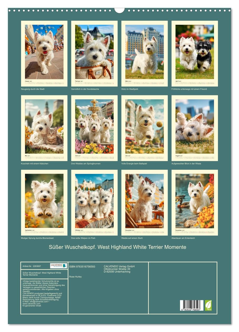 Süßer Wuschelkopf. West Highland White Terrier Momente (Wandkalender 2027 DIN A2 hoch), CALVENDO Monatskalender: Die fröhlichen, mutigen und charmanten Westies in zauberhaften Bildern (CALVENDO Tiere)