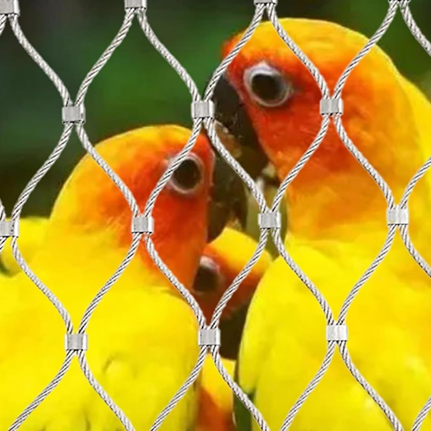 Valla de malla de alambre de 3 x 4 m para jardín, balcón y seguro para infrarrojos, red de protección para mascotas de 10 cm/1,5 mm para recintos de ovejas, pollos y tic