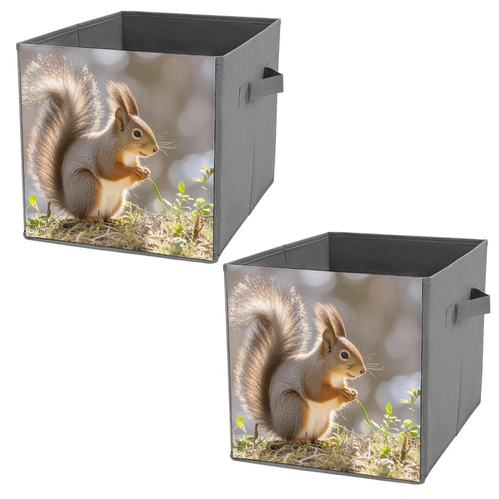 Panier écureuil et bacs de rangement pliables pour organiser les livres