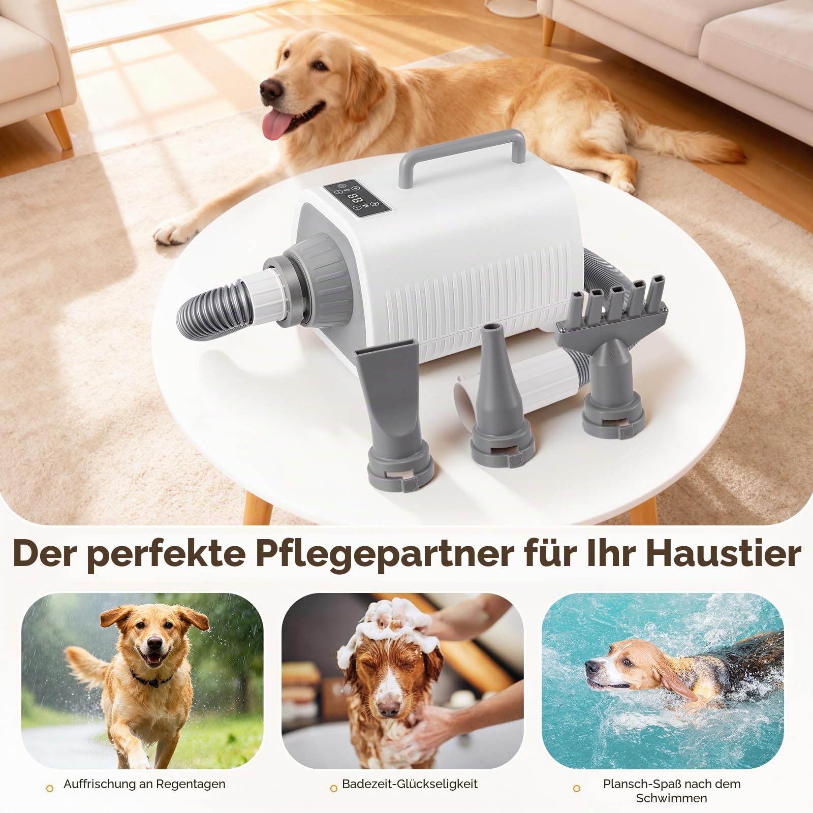 Pudel Hundefön, Leistungsstarker Hundeföhn mit Einstellbarer Geschwindigkeit und Temperatur, 3 Düsen, Flexiblem Schlauch und LCD-Bildschirm, blower hund für Katzen und Hunde aller Größen
