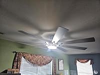 Review Image by RCollins RCollins