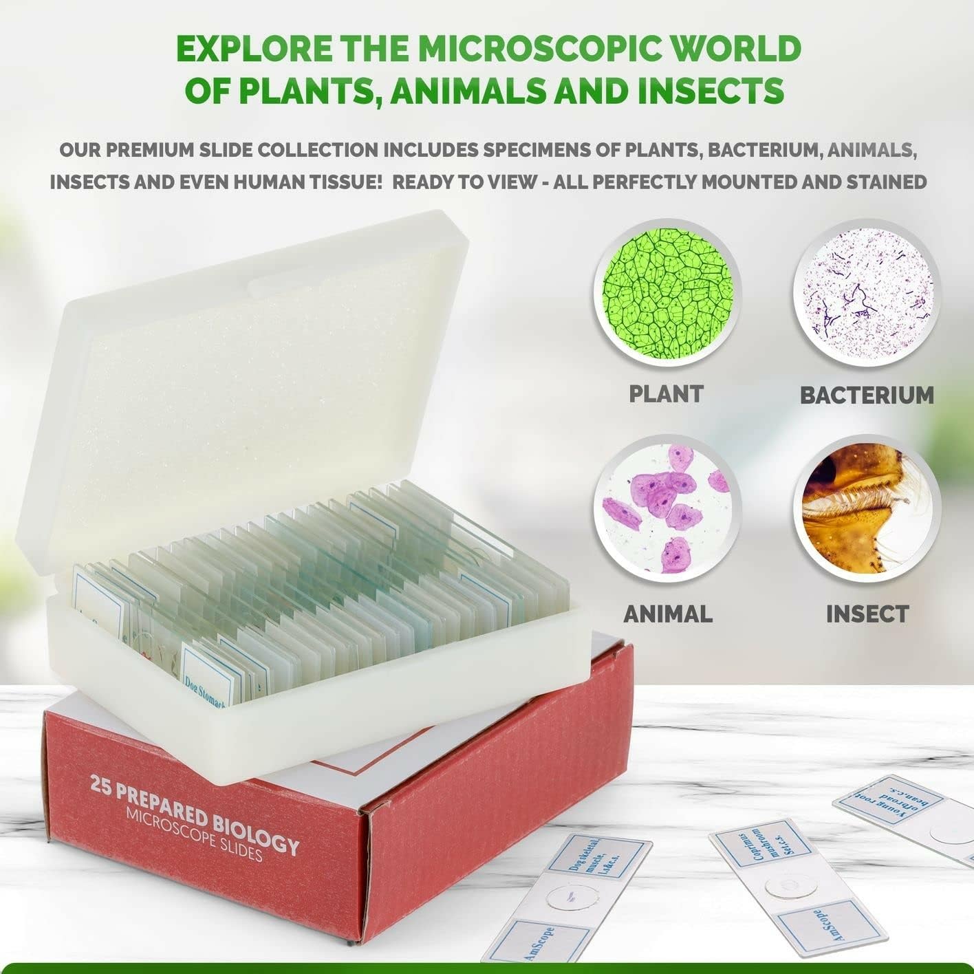 AmScope Juego de Diapositivas para microscopio Preparado PS25P para educación básica en Ciencias biológicas, 25 Diapositivas, Incluye Estuche de plástico Ajustable