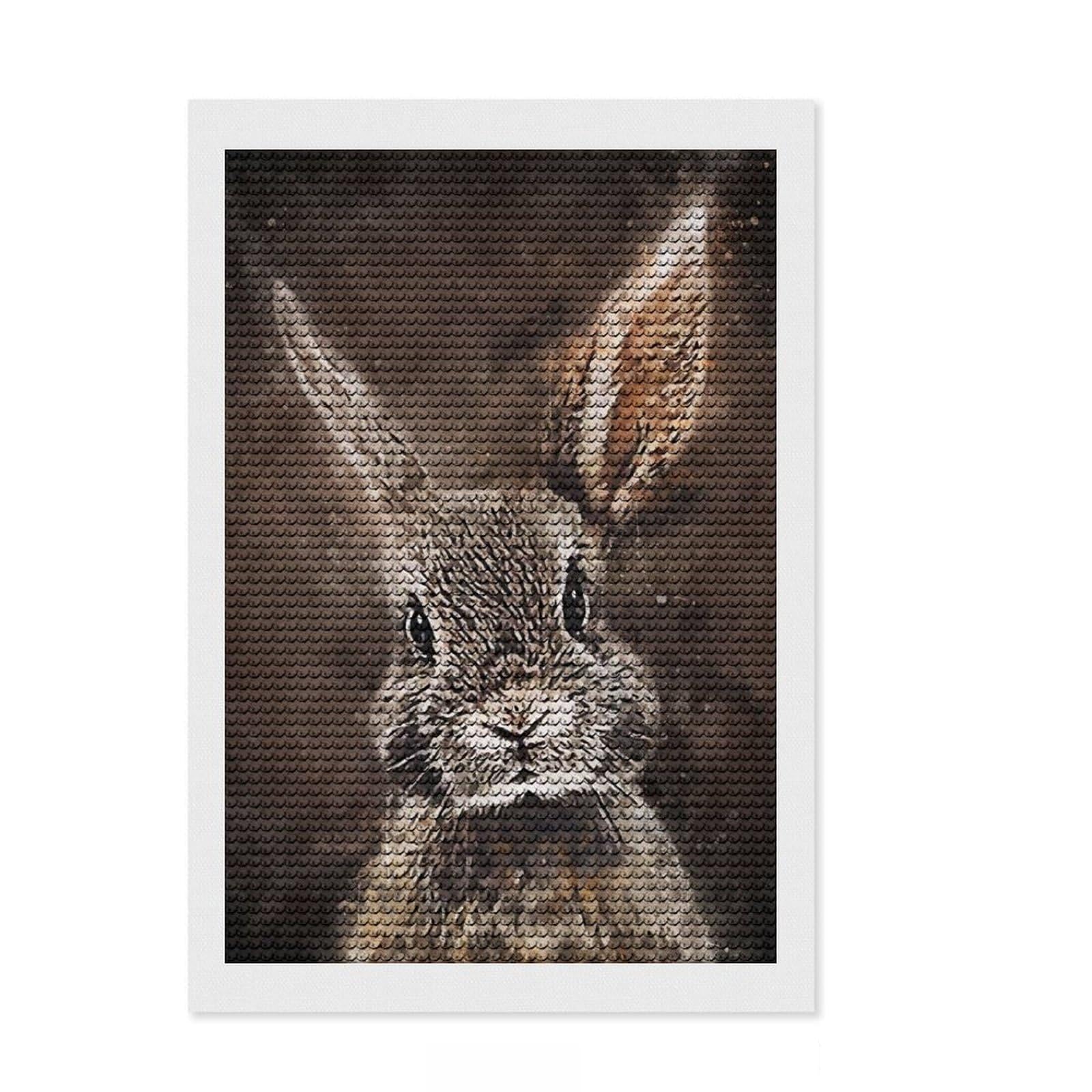 Junmoney Cute Rabbit Diamond Art Kit 8"x12", Boho Decor, Farmhouse Decor, Stress Relief Craft, Creative Gift Idea, Birthday Gift