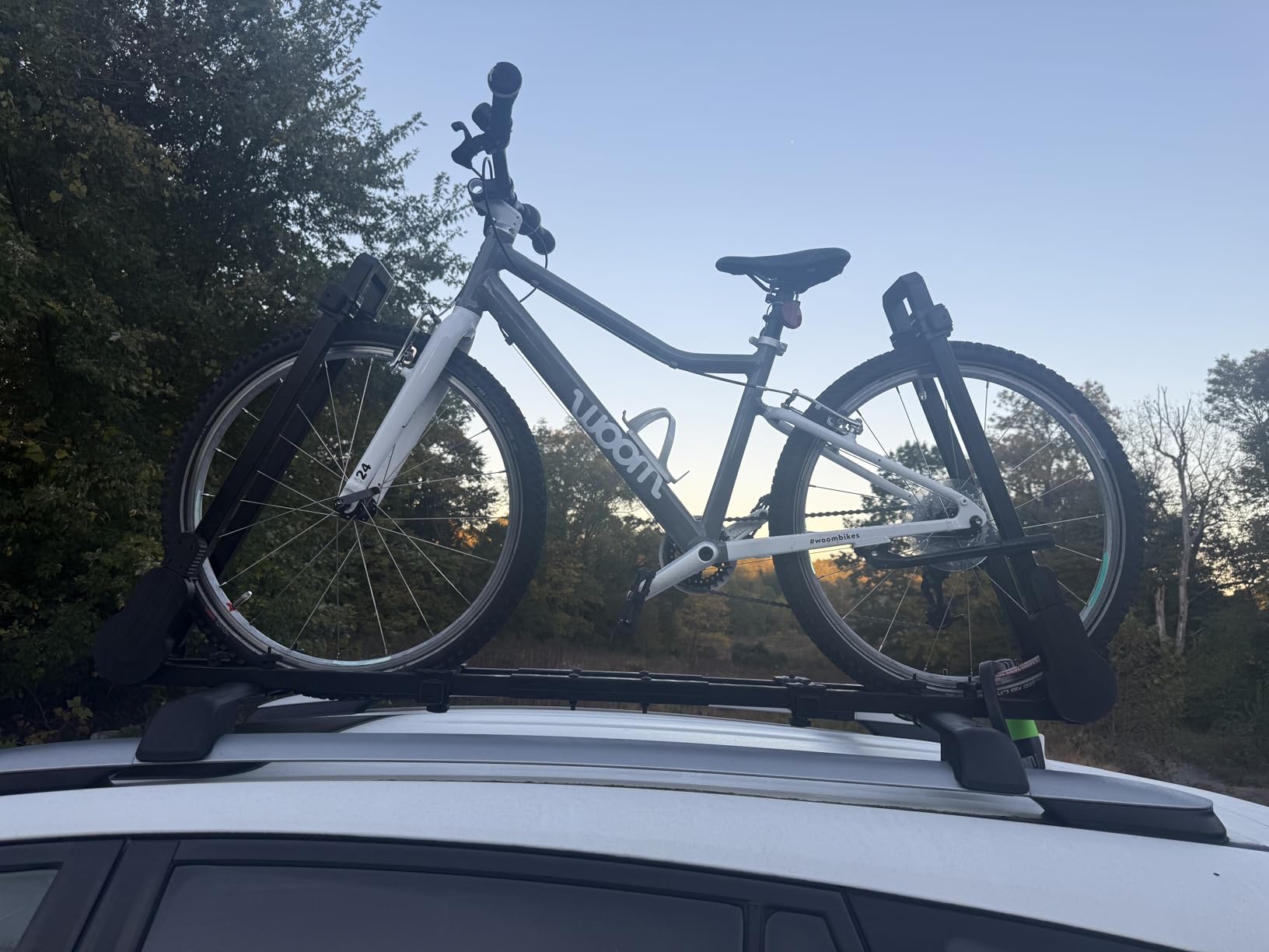 GATHERSKY Upright Rooftop Bike Rack - 1 Bike 44 lb 18-29in Wheels 8