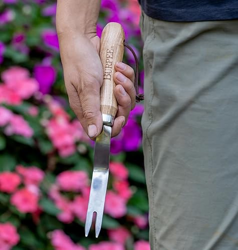 Miniatura 3 de Burpee Escardadora de acero inoxidable de 12 pulgadas  Herramienta de jardín duradera de larga duración  Correa de muñeca de cuero con mango de 5