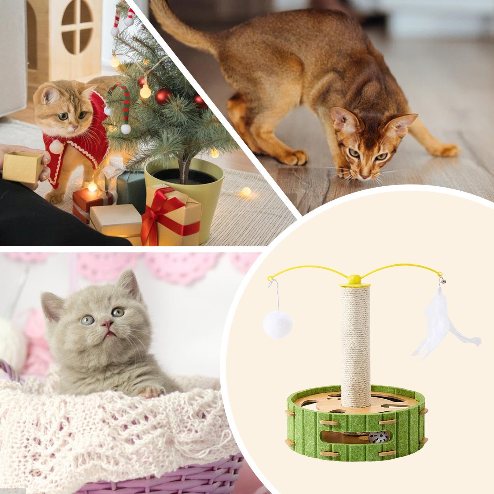 Arbre à , d'enrichissement avec Circuit à Balles - Grattoir à Chat