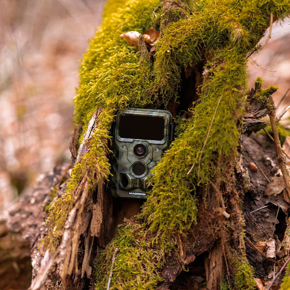 RecorCam Wildkamera WLAN Handyübertragung 36MP 2,7K, WiFi Bluetooth