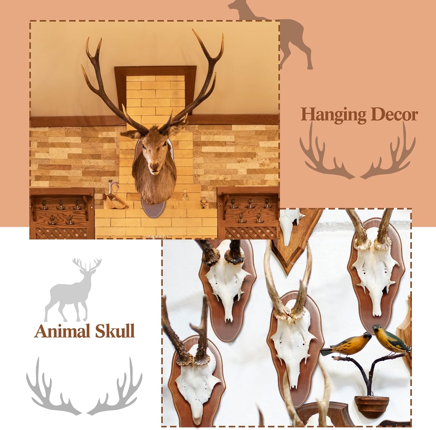 Sintuff 2 Pcs Deer Mount Plaque Skull Face Plate Plaque European Mount Wooden European Skull Hanger for Antler Elk Head Display Hunting Winter Decor