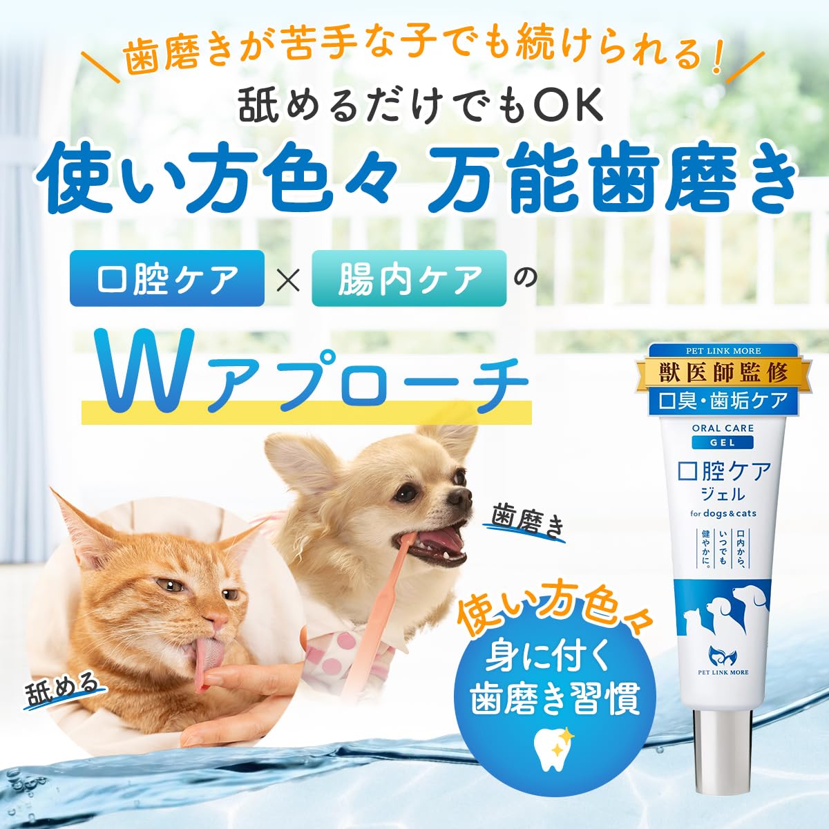Amazon.co.jp: PETLINKMORE 犬猫用 歯磨き粉 歯磨きジェル PREMIUM