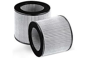 Bissell MyAir Filter Replacement - Breathe Easy