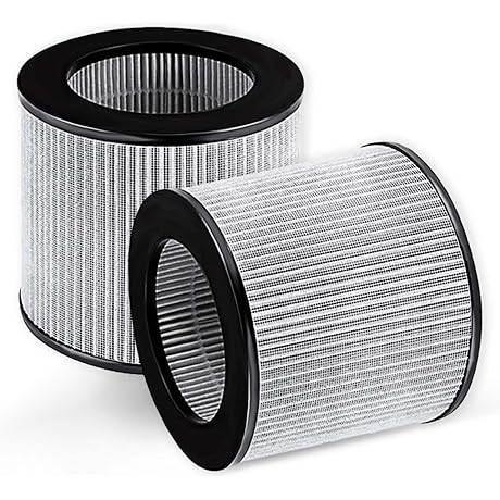 Bissell MyAir Filter Replacement - Breathe Easy