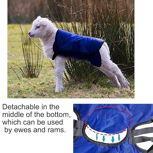 Miniatura 5 de Abrigo de cabra de invierno para clima frío, impermeable, resistente al viento, para mantener la cabra caliente, abrigo de cordero con correas, 2