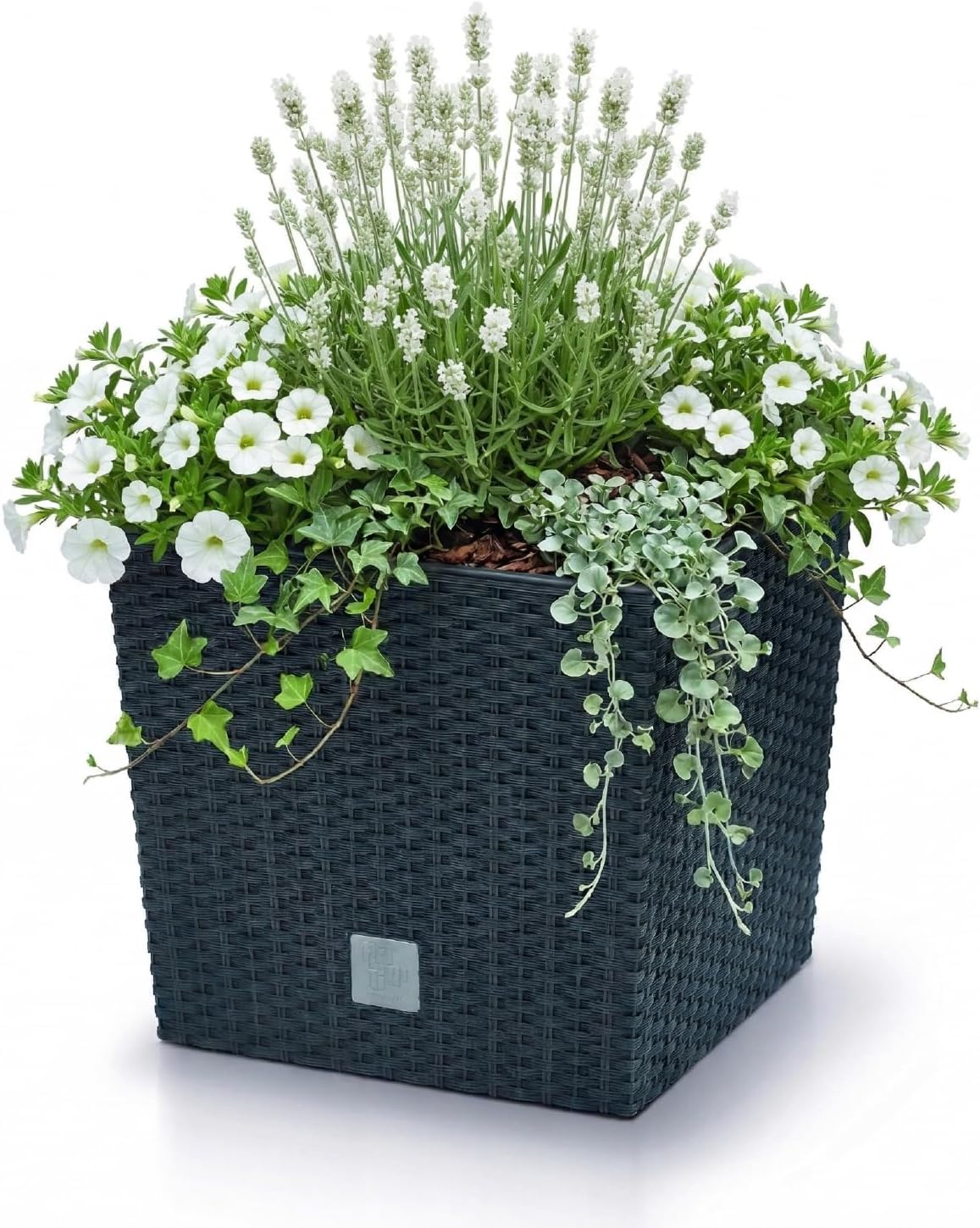 Prosperplast quadratisch Blumentopf in Rattan-Optik Rato Serie anthrazit Volumen 64 L, schwarz, 39 x 39 x 40,5 cm, DRTS400L-S433 