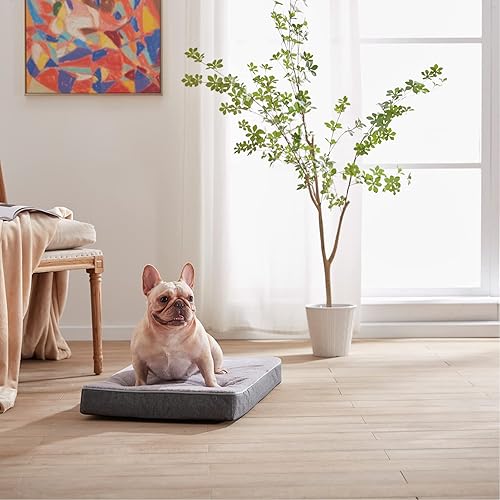 Miniatura 2 de Cama ortopédica de espuma viscoelástica para perros, camas refrescantes para perros medianos, camas lavables para mascotas con funda de piel