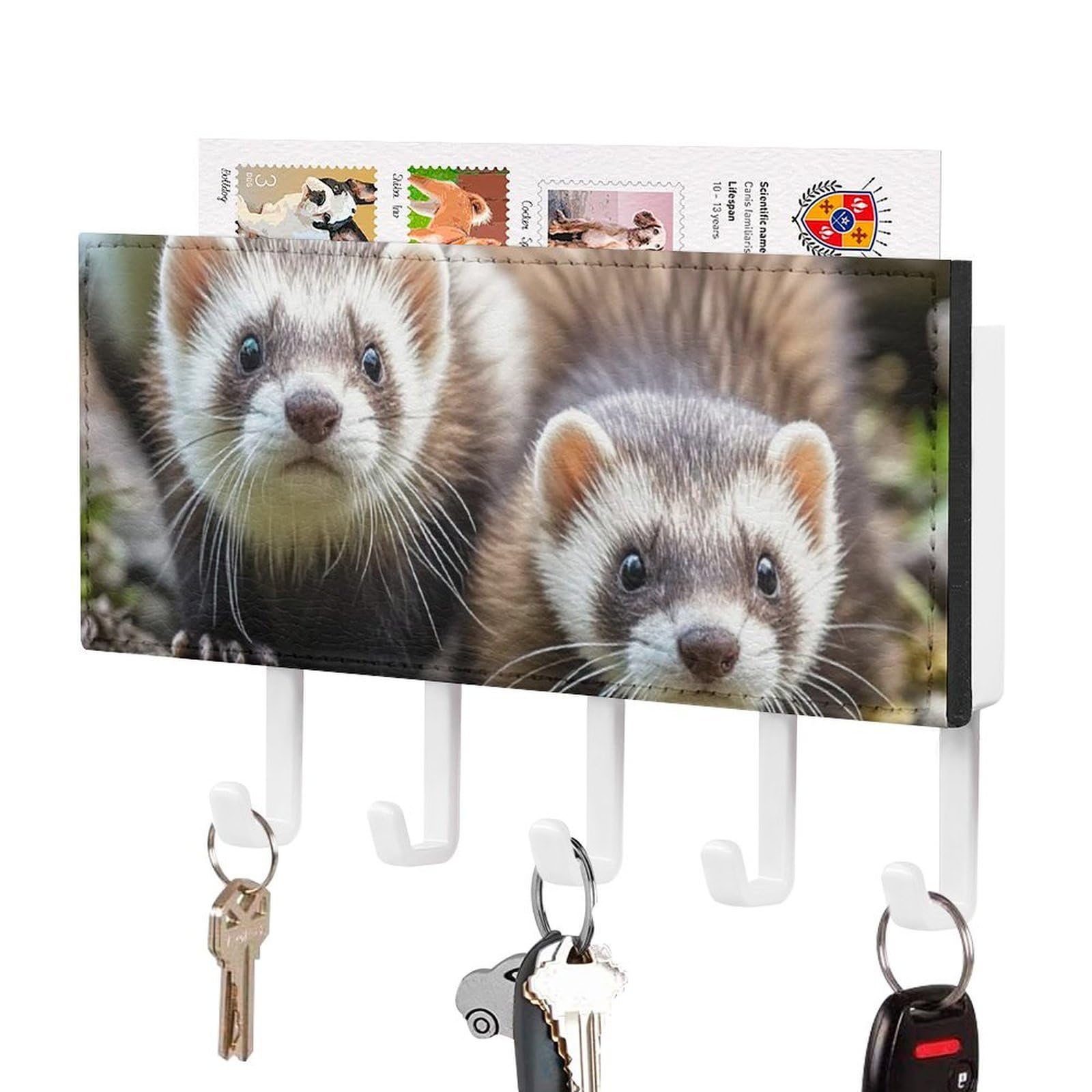 FekiLoot Ferrets Key Holder Wall Mount Key Hanger with 5 Hooks Decorative Key Rack Hanging Key Hooks with Mail Organizer Key Holder for Wall Living Room Kitchen Bathroom Hallway White