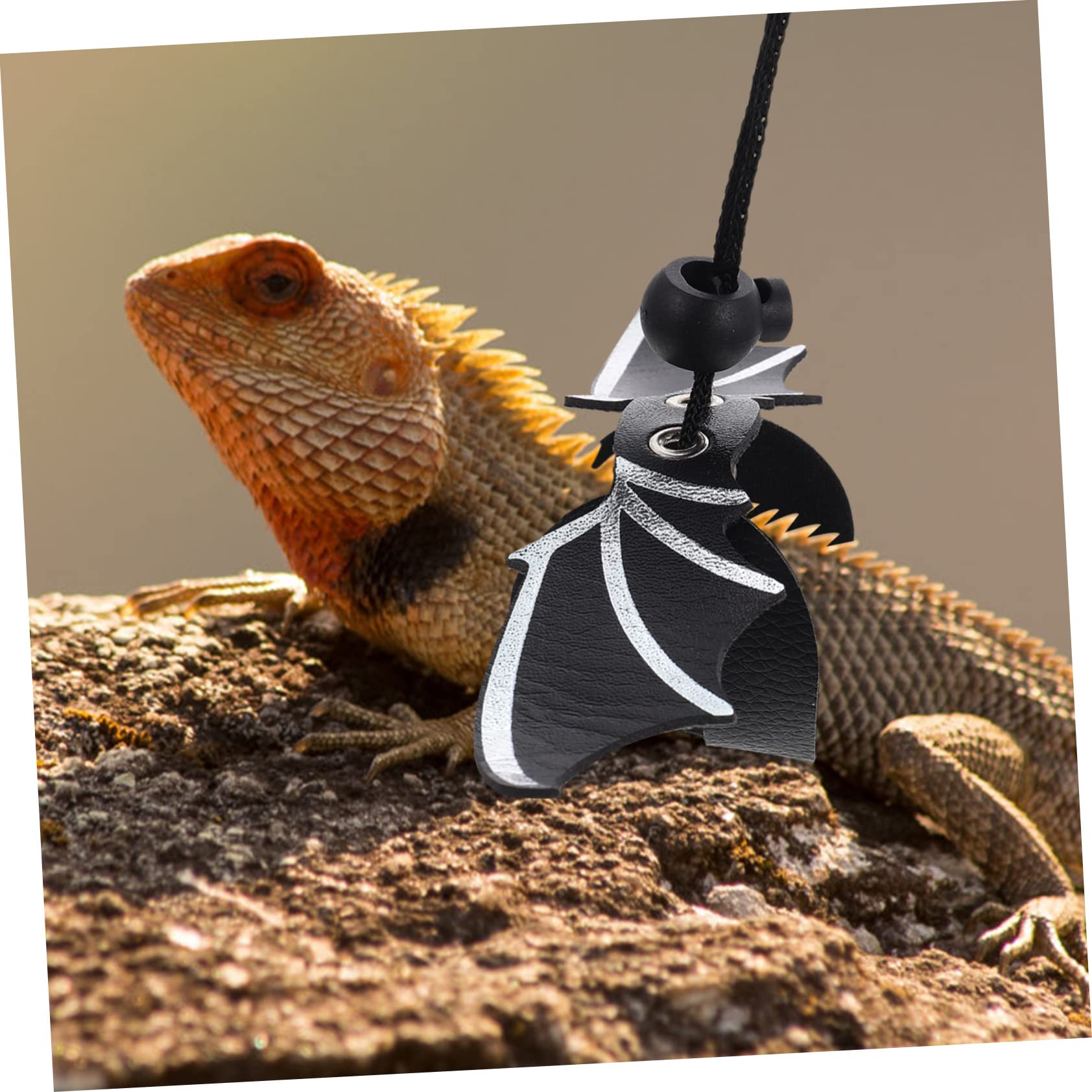 Housoutil 4juegos y Arnés Ajustable para Reptiles Sombrero De Cumpleaños Kit De para y para y Disfraces y Lazo
