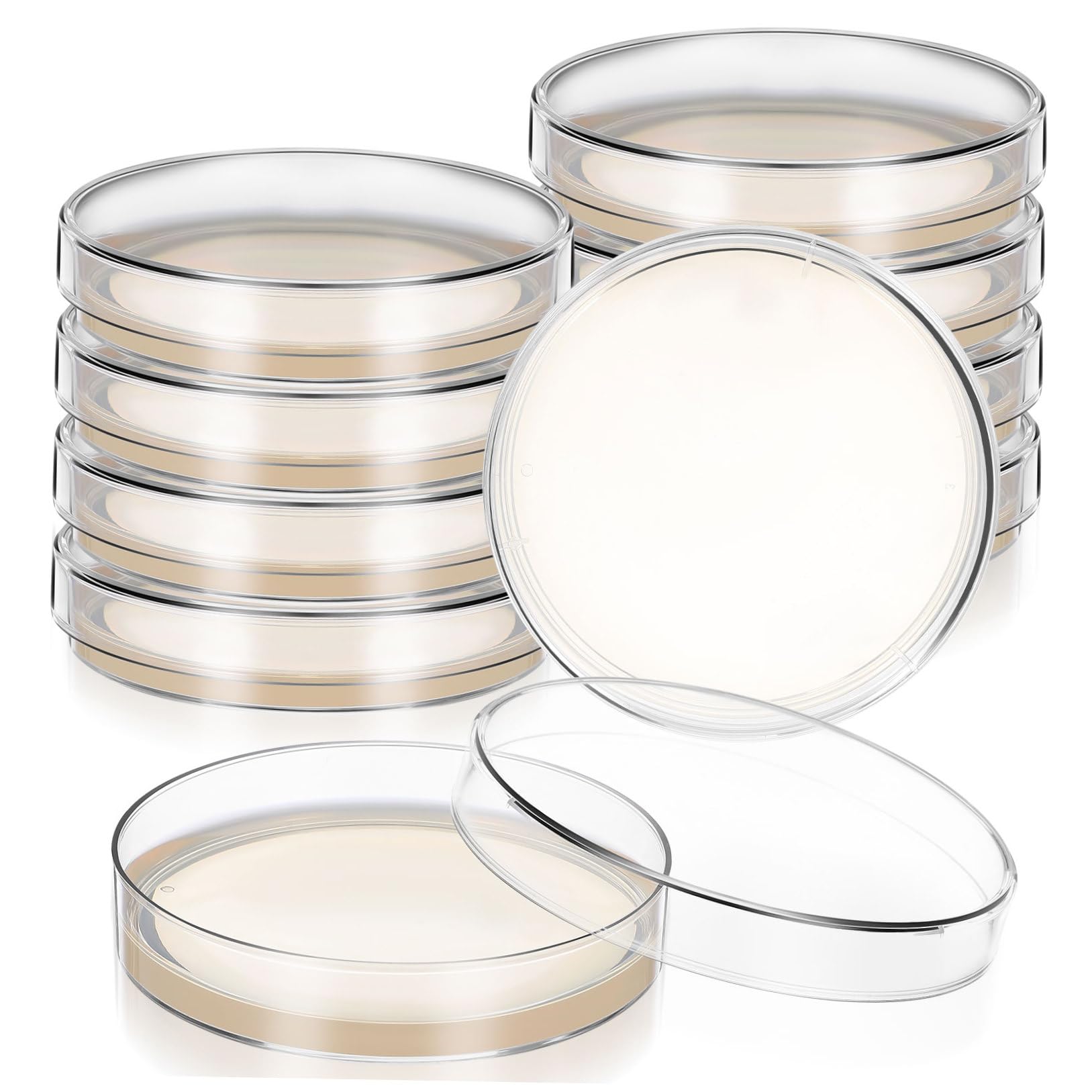 Placa de Petri Pre-vertida 7cm con Agar Nutritivo, 10 Piezas | Placas de Petri con Agar, Placas de Agar para Laboratorio, Decoracion Colegio
