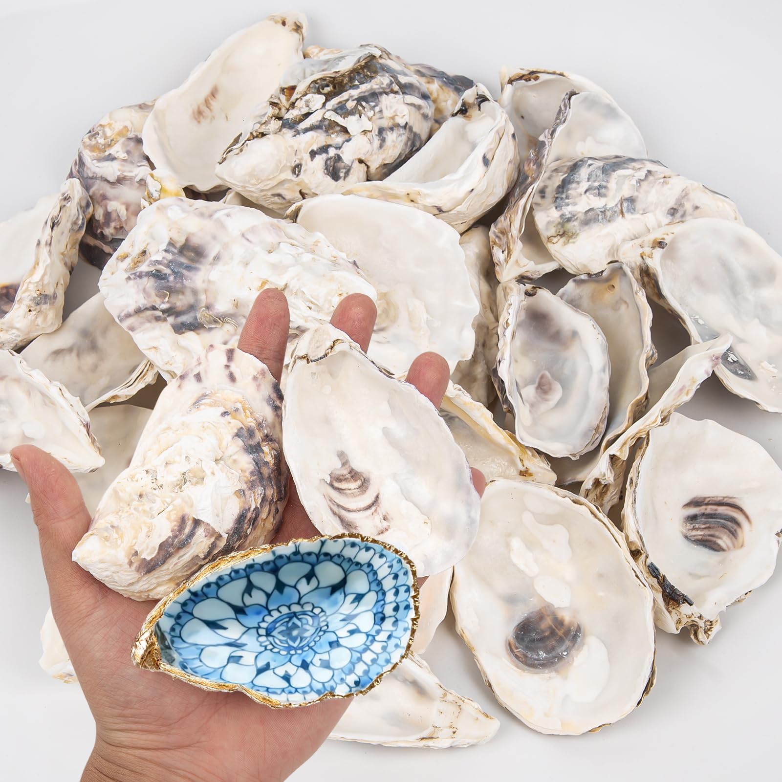 15PCS Oyster Shells 3"-4" Concave Oyster Shells for Crafts Natural Oyster Shells Bulk, for Home Vase Filler, Xmas Ornaments, DIY Arts and Crafts Sea Shells