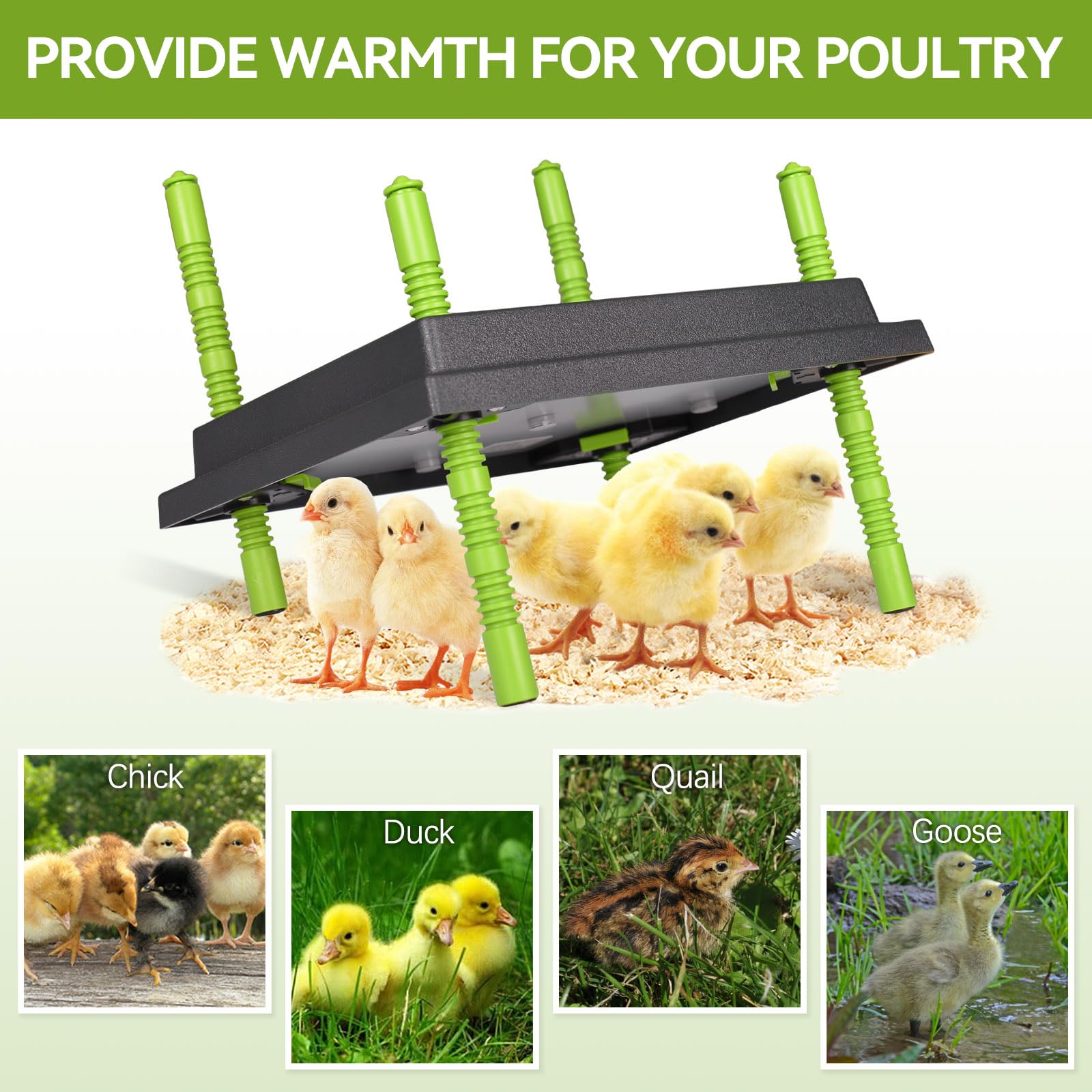 Plaque chauffante pour poussins, lampe chauffante pour poussins, plaque chauffante pour l'élevage de poussins, poule artificielle 25 x 30 cm