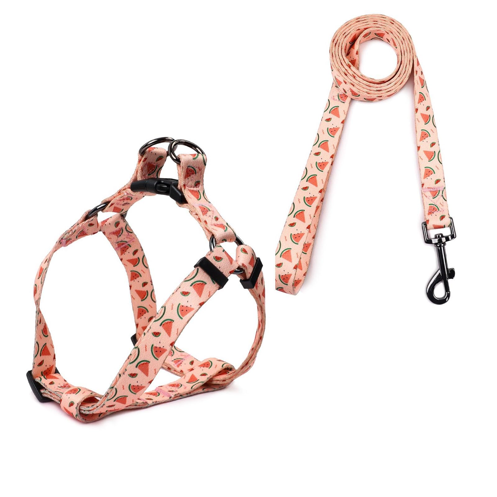 COSYHOMELONDON Arnés con Correa para Perros Pequeños y Gatos,Transpirable Arnés Ajustable para Perros Cachorros con Patrones Raya Coloridas (B, S)