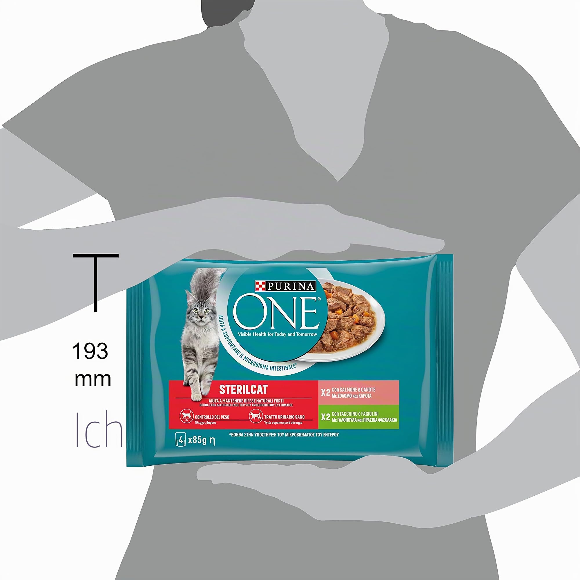 Purina One Sterilcat Filellini in Sauce, sterilisiertes Katzenfutter, Lachs und Truthahn, 48 Beutel à 85 g | Häppchen mit Lachs Karotten, Truthahn und Bohnen für sterilisierte Katzen
