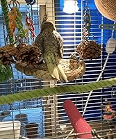 Vista 7 de Soporte para pájaros, perca en forma de U, material de cuerda de cáñamo, soporte de plataforma, juguetes de ejercicio para pájaros y loros